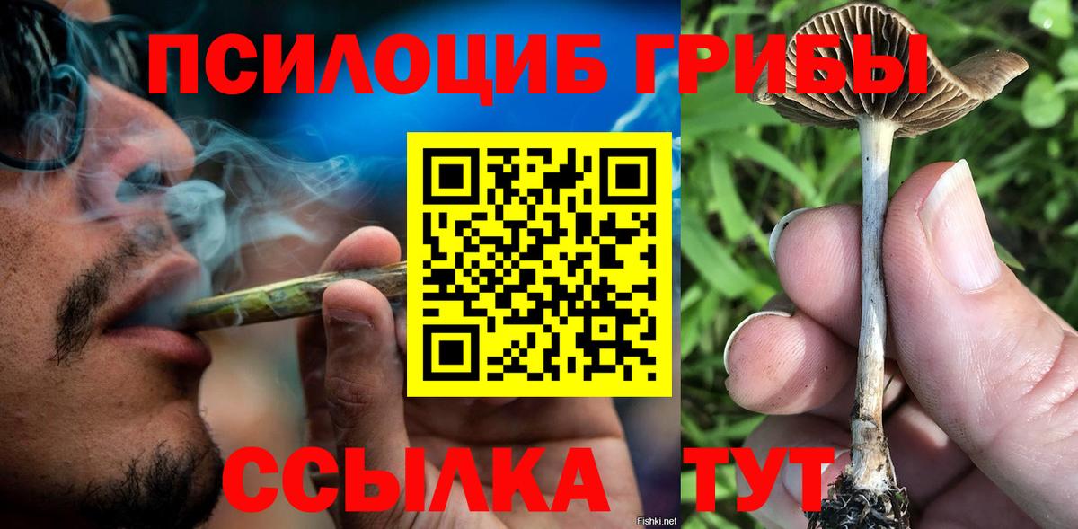 Псилоцибиновые грибы прущие грибы  Вход с VPN  Владивосток 